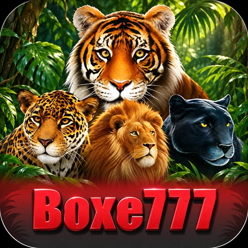 boxe777 cadastro — tela de formulário no app oficial